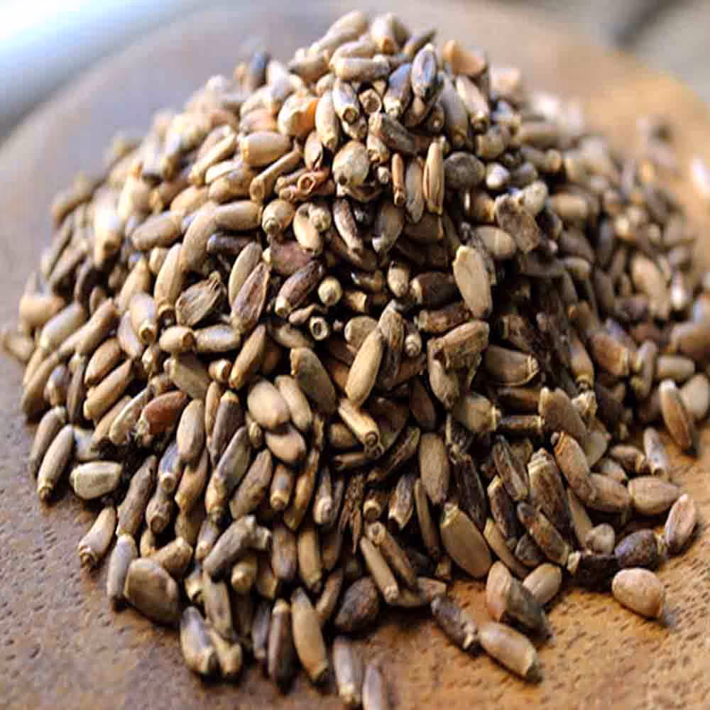 دانه خار مریم با کیفیت (500گرمی)