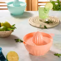 ظرف آب مرکبات گیری (آبمیوه گیر) دستی برند ev 