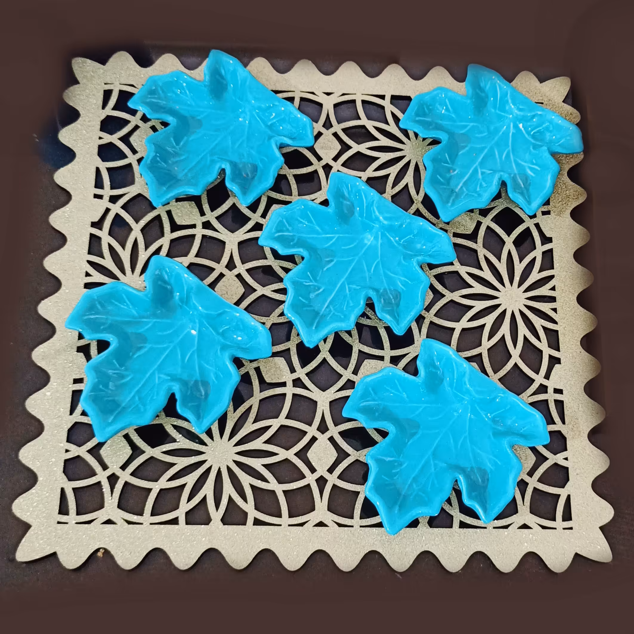 ظروف پذیرایی برگ 