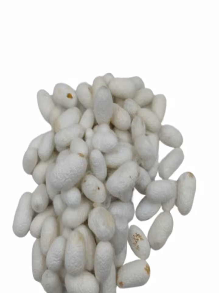 پیله ابریشم 50 عددی کامل درجه دو