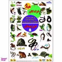 برچسب هیلا مدل آموزشی دوزیستان بسته 5 عددی