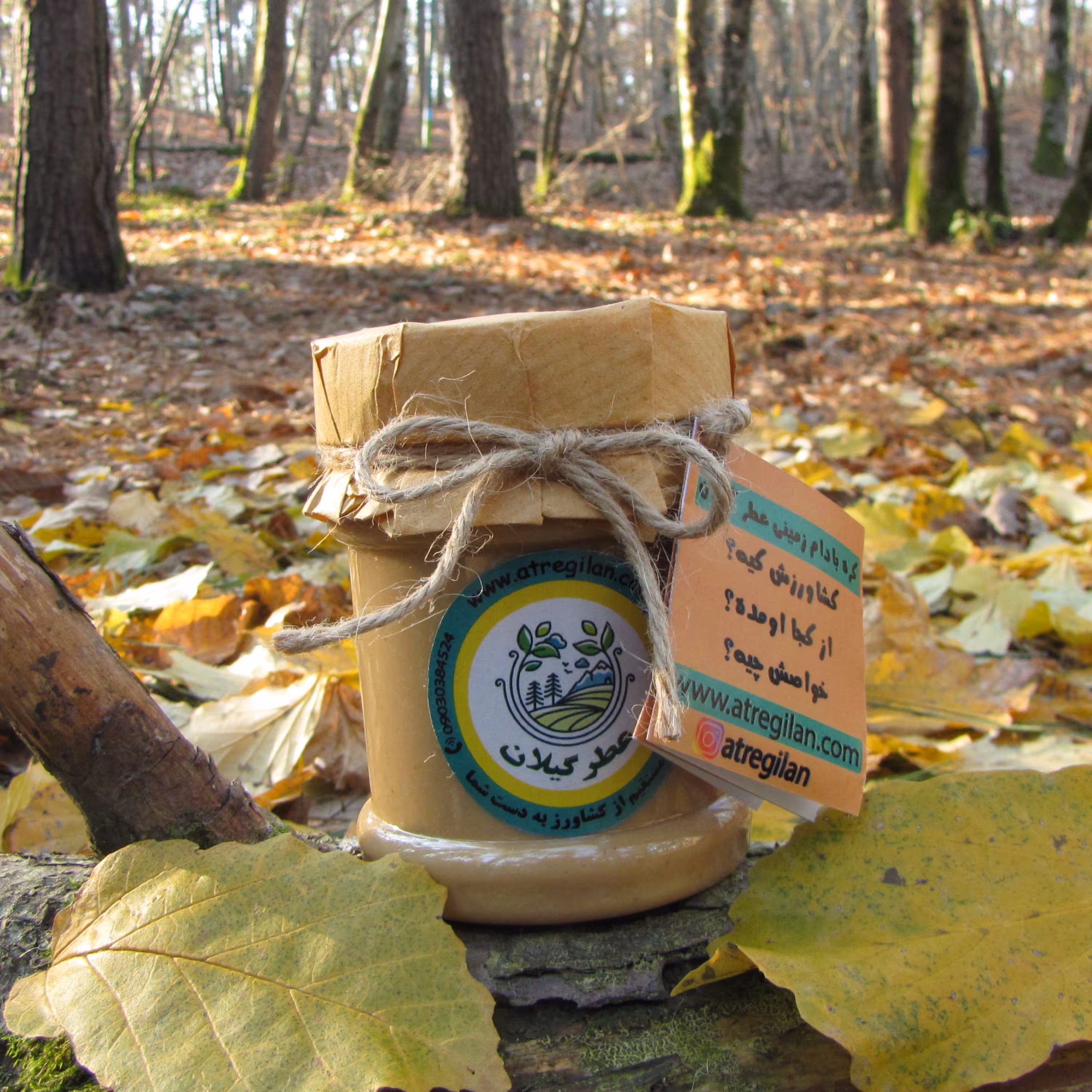 کره بادام زمینی رژیمی و خانگ (بدون شکر. نمک و روغن ) 