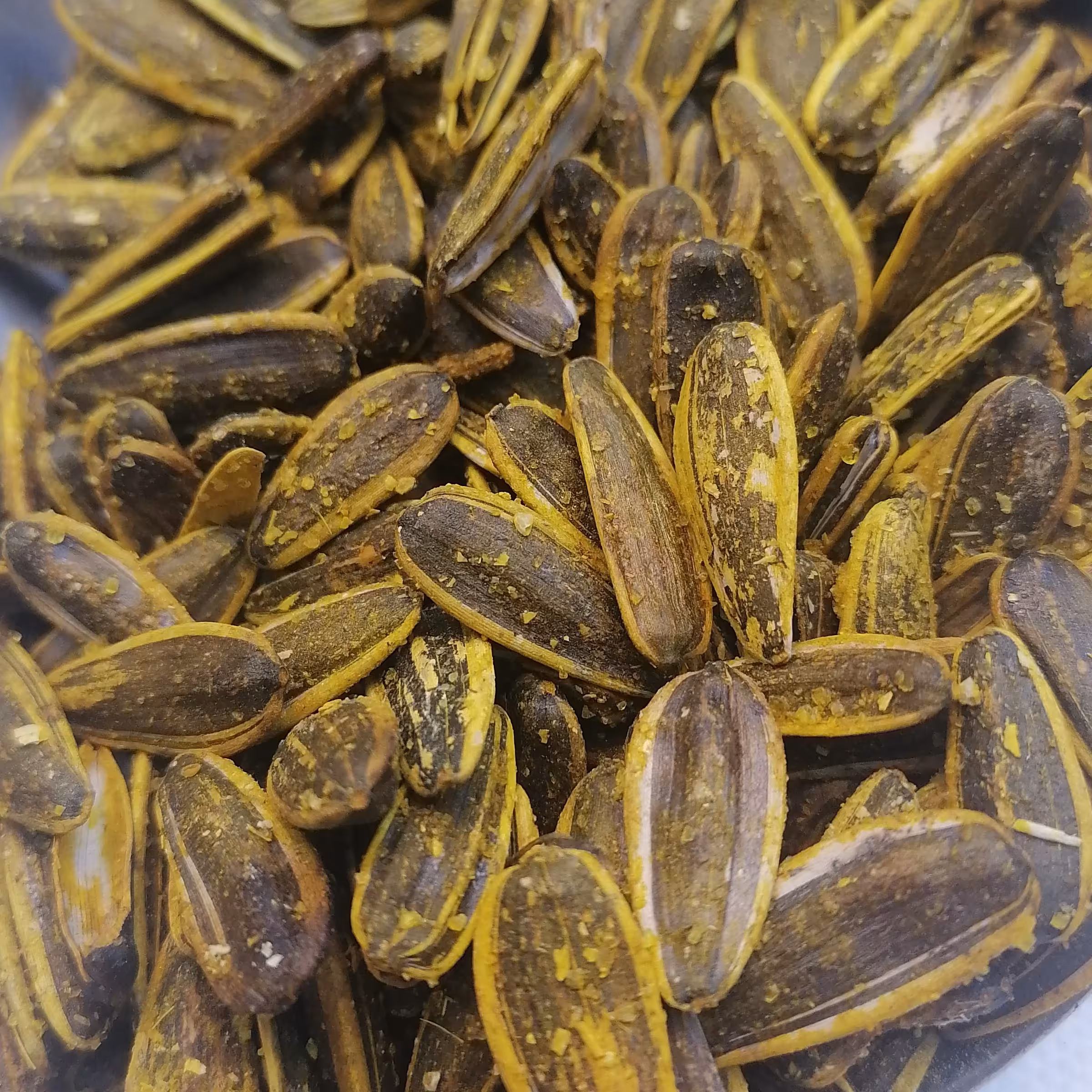 تخمه کانادایی ادویه دار