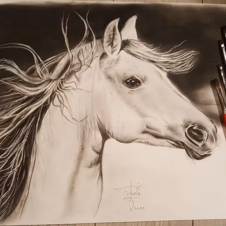 طراحی سیاه قلم