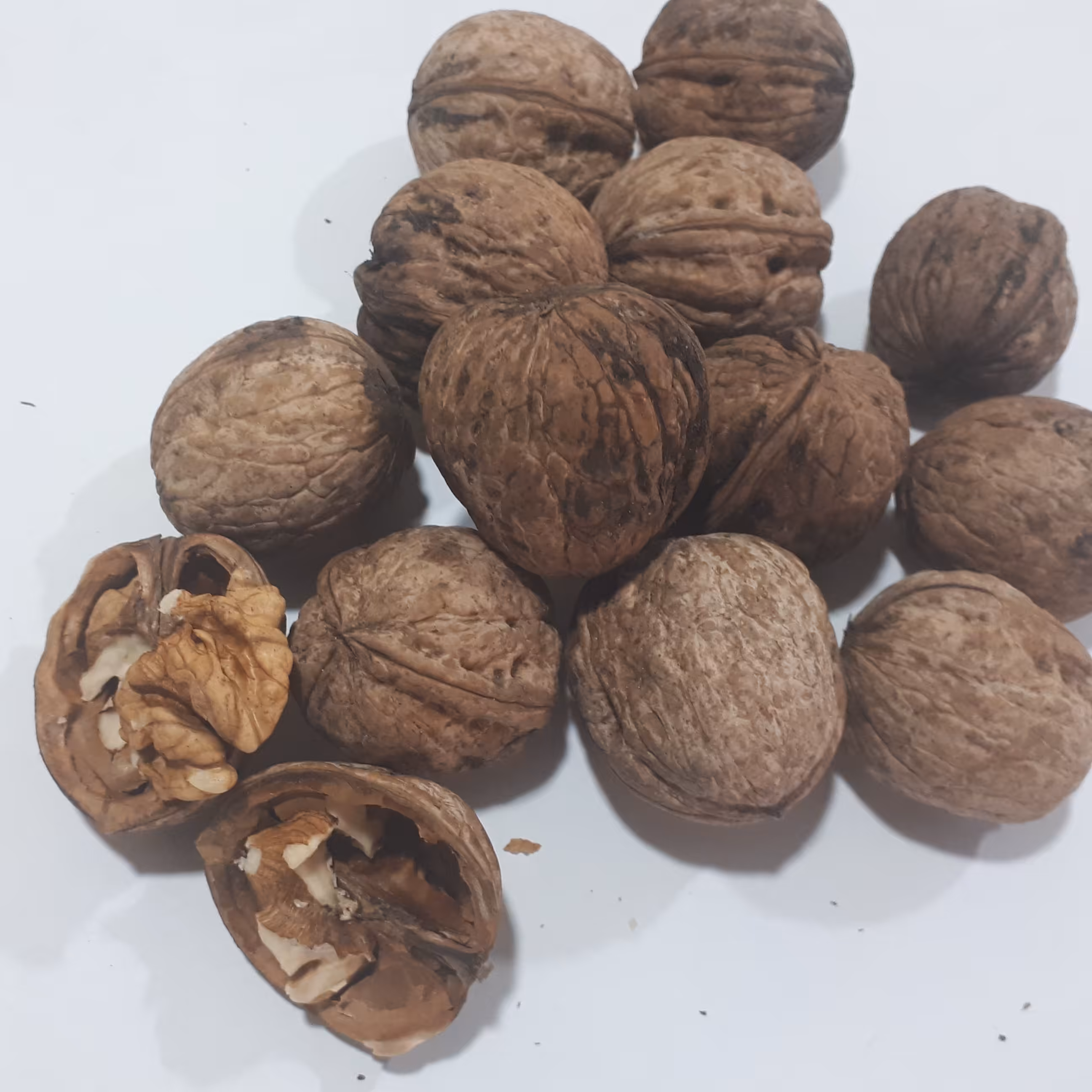 گردو امساله پوست نازک و خوشمزه _1000 گرم