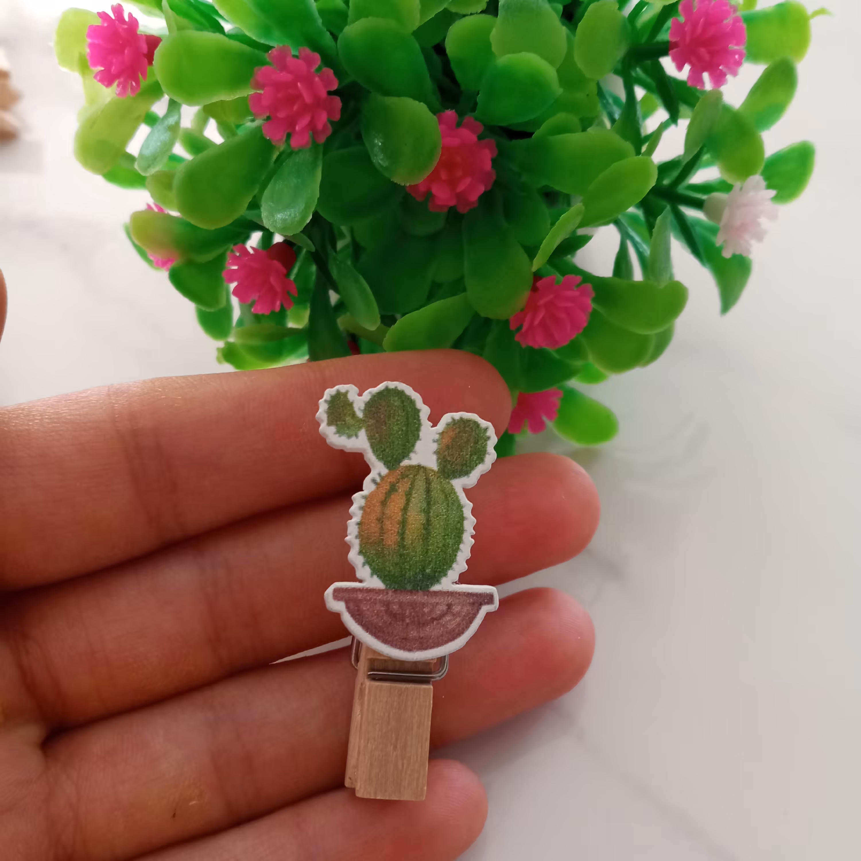 گیره کوچک چوبی طرح کاکتوس فروش به صورت تکی