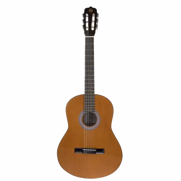 گیتار کینگ k2  همراه با کیف ارسال تیپاکس