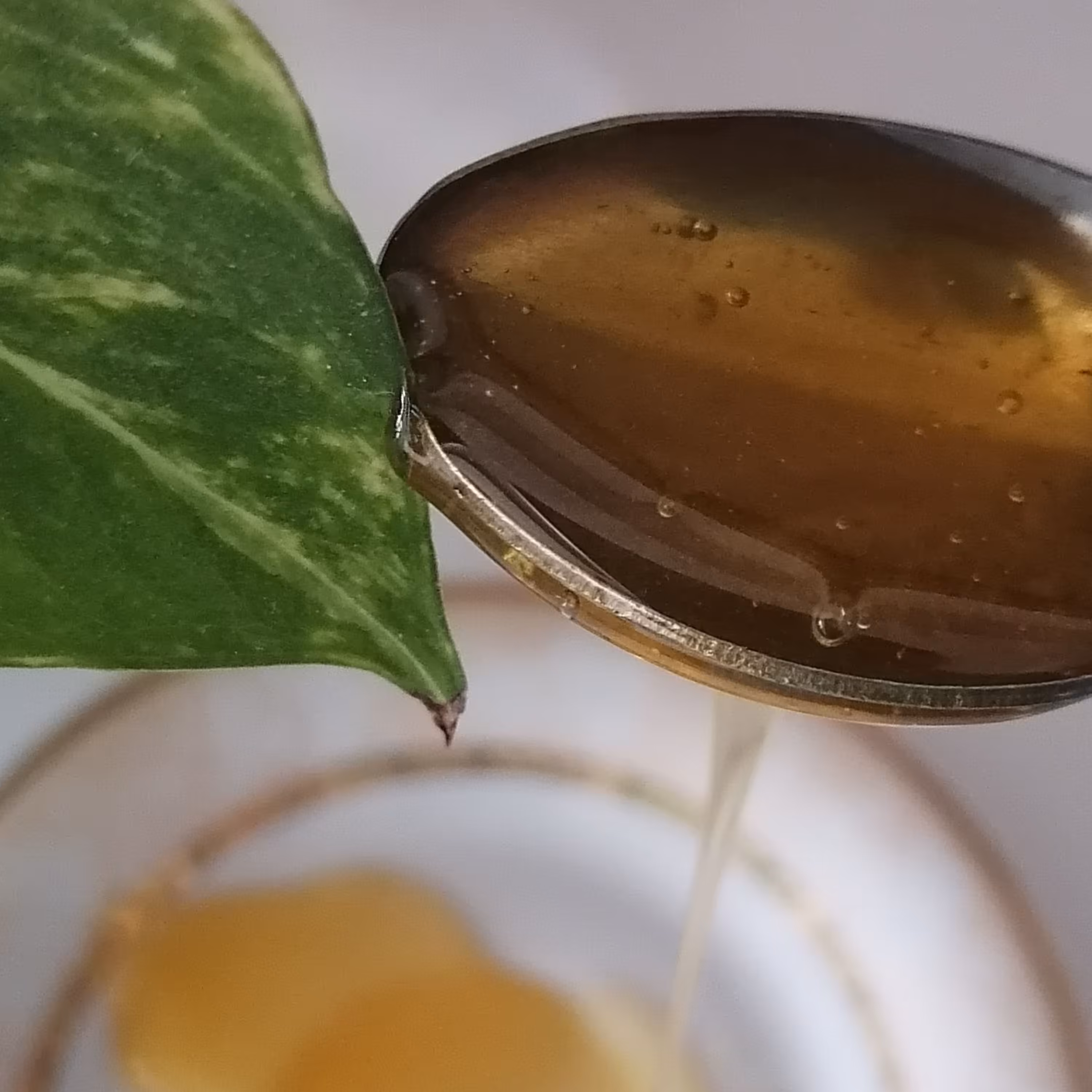 عسل طبیعی درجه یک عناب و زرشک خراسان جنوبی بیرجند ارگانیک ارسال رایگان