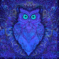 بک دراپ بلک لایت (فلورسنت) طرح شماره 10