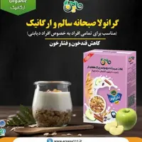 گرانولا 111 مناسب دیابتی ها غلات صبحانه ارگانیک ( تعداد در کارتن 11و 1 آفر )