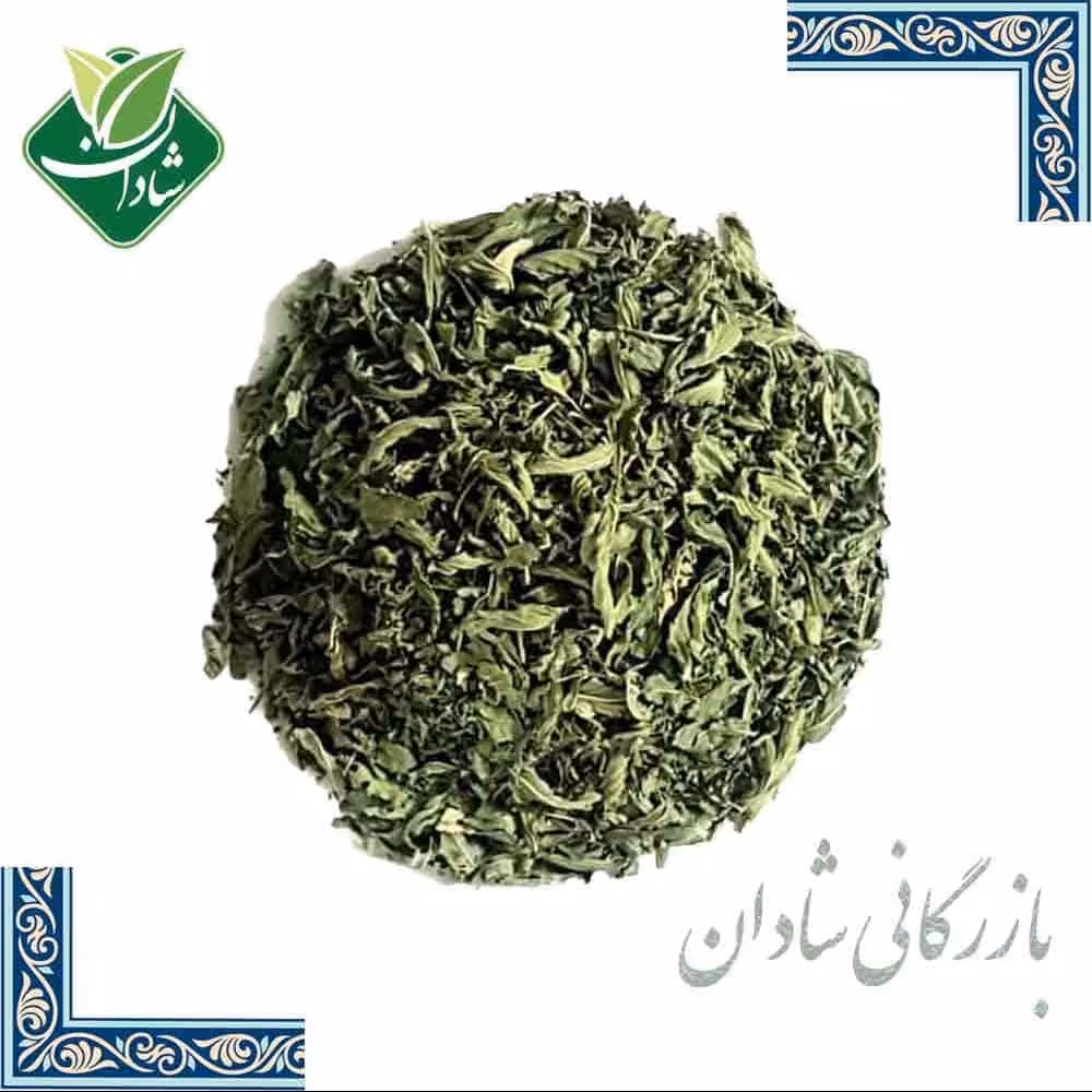 نعناع امسالی شسته شده بدون خاک اعلاء 250 گرمی
