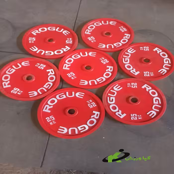 خرید صفحه پاور لیفتینگ طرح روگ rogue