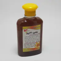 شامپو 40 گیاه آرنیکا - موی چرب و معمولی