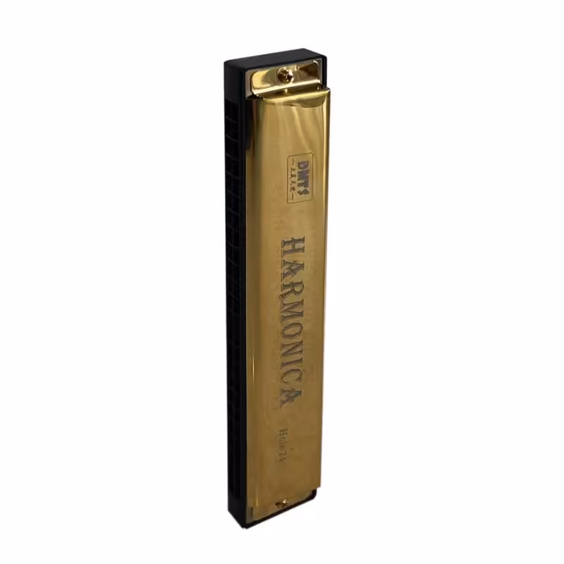 ساز دهنی هارمونیکا