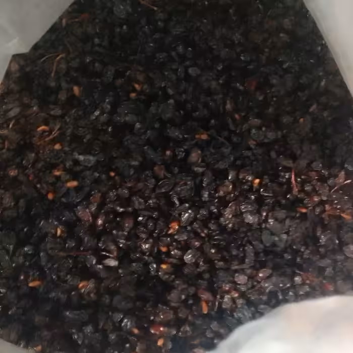 زرشک آبگیری ( 1000 گرم )