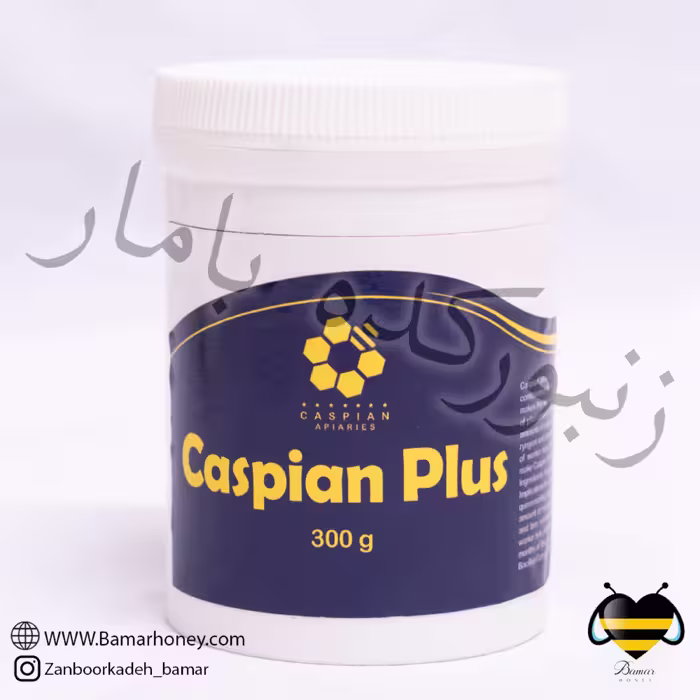 کاسپین پلاس