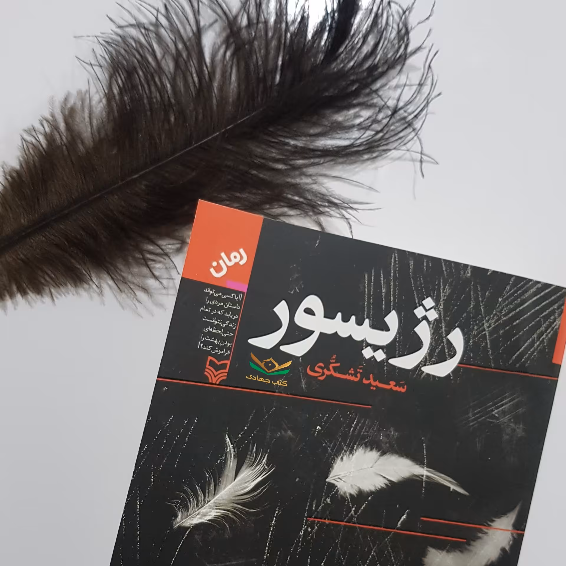 کتاب رژیسور