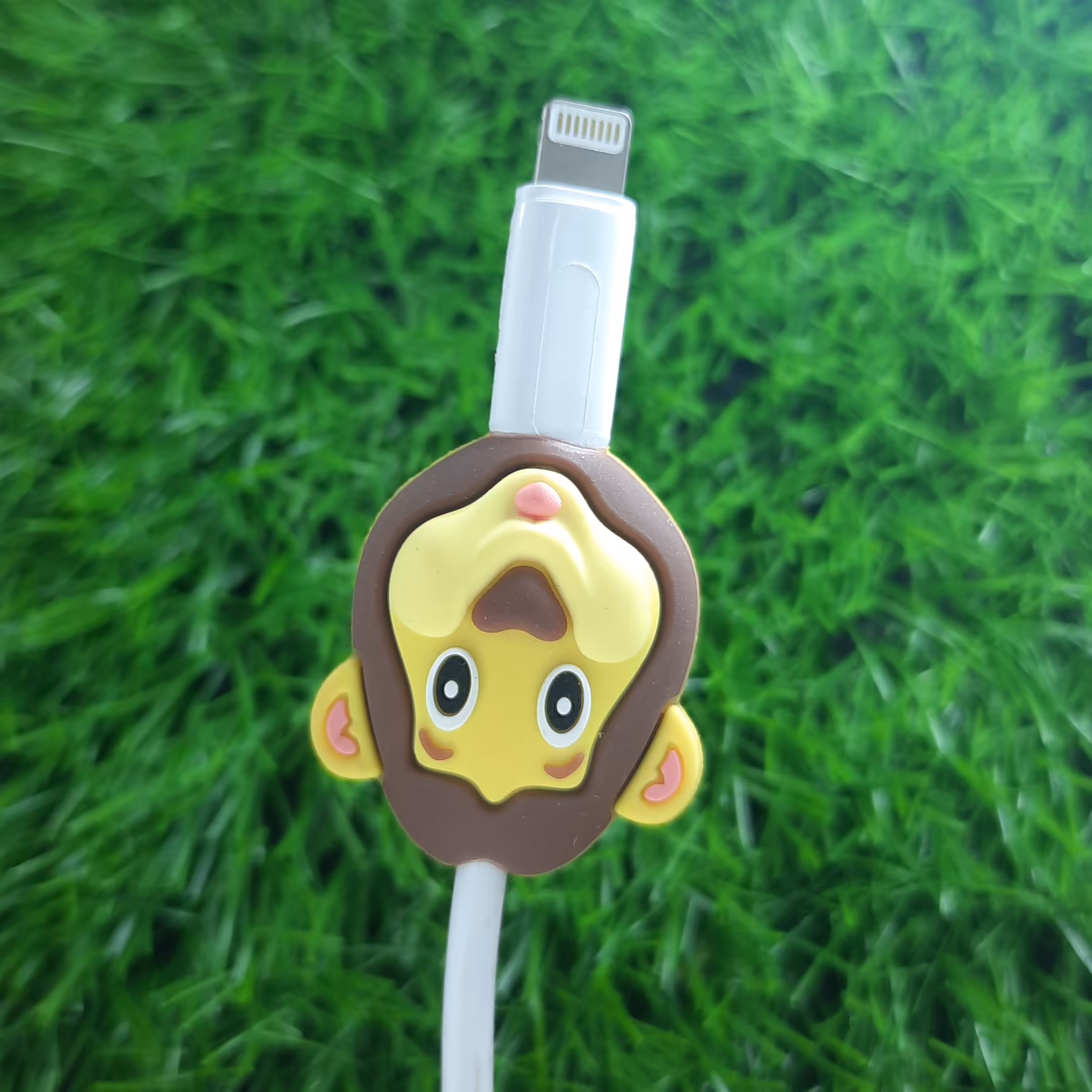 محافظ کابل طرح شیر