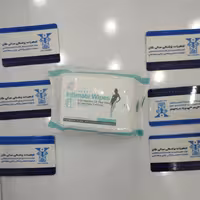 دستمال مرطوب بهداشتی بانوان  20 عددی