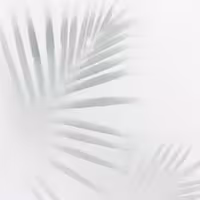 بکدراپ چاپی کد sd-w11