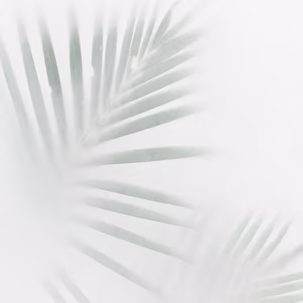 بکدراپ چاپی کد sd-w11