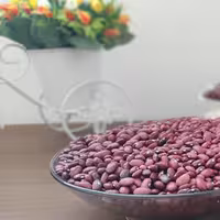 لوبیا قرمز 