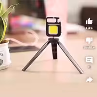 پروژکتور همراه 