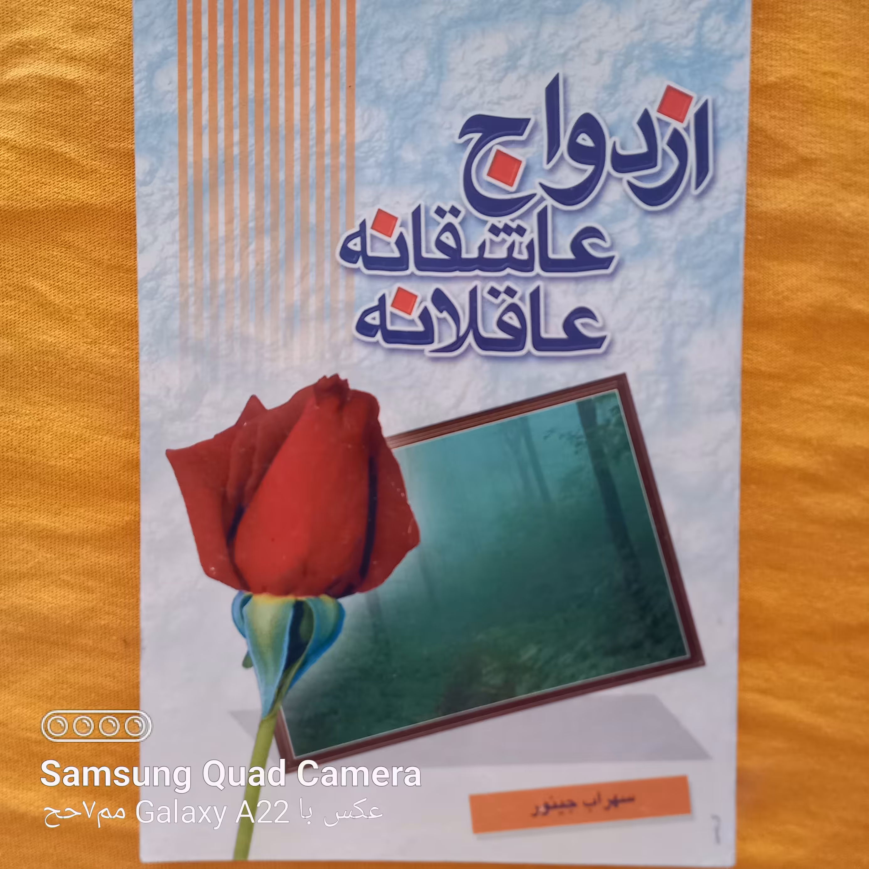 ازدواج عاشقانه عاقلانه