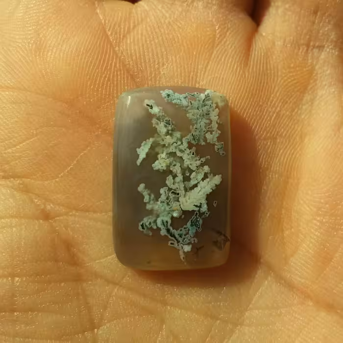 نگین شجر دیدنی زمینه خرمایی بسیاااار زیبا و خاص کاملا طبیعی