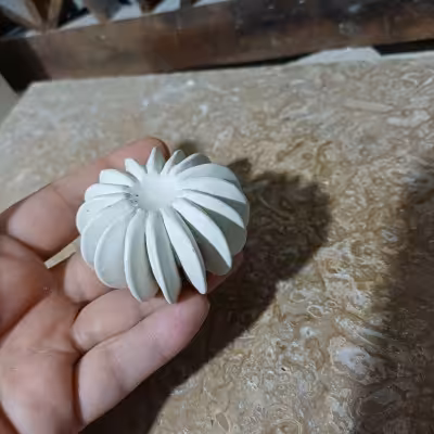 بیس خام کاکتوس شماره ی 5