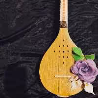 سه تار پژواک