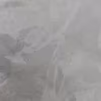 پودر نارگیل