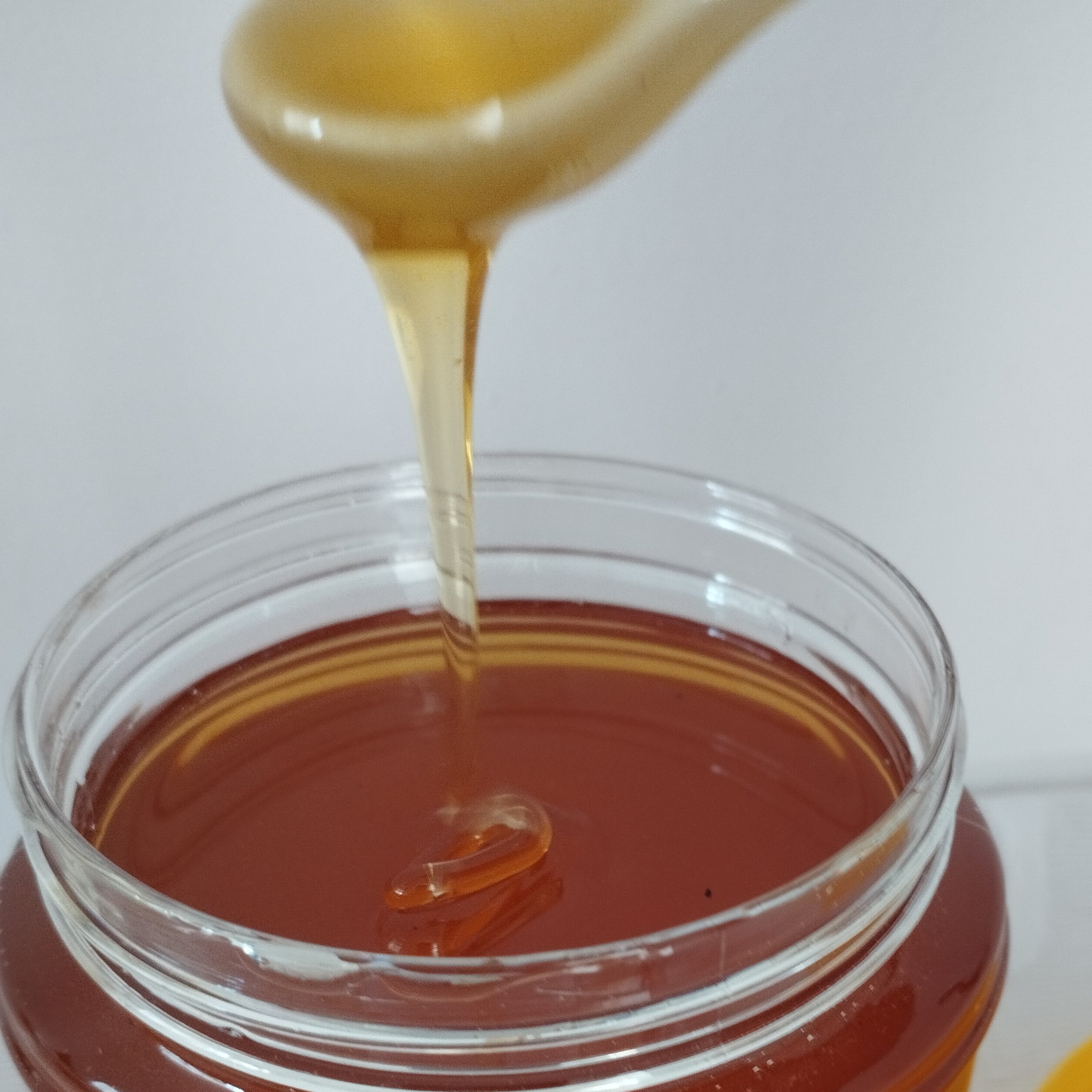 عسل دن (موشکورک) کمیاب و طبیعی بدون تغذیه ساکارز 2(ضمانت بازگشت وجه درصورت نارضایتی)