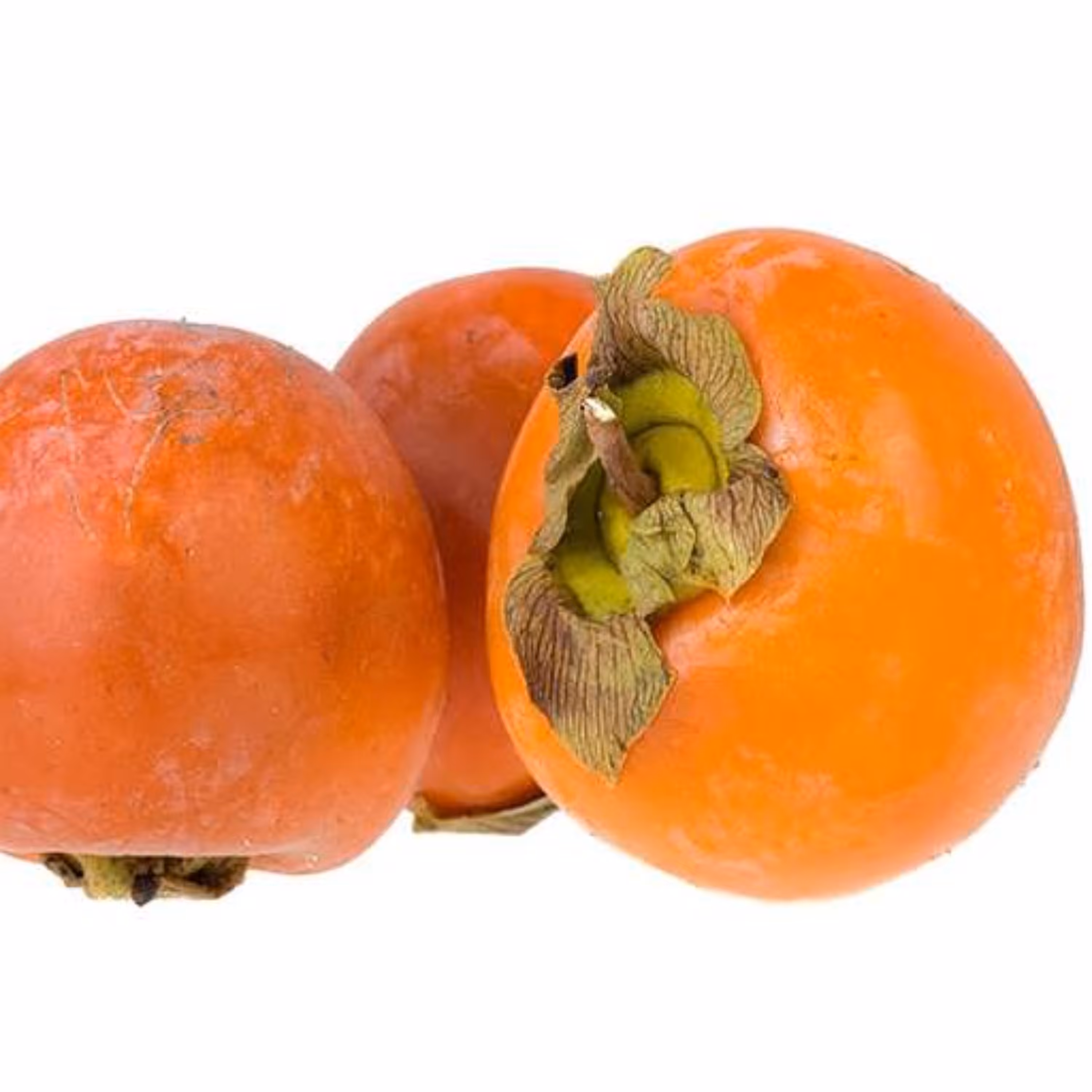 بذر خرمالو وحشی 5 عددی