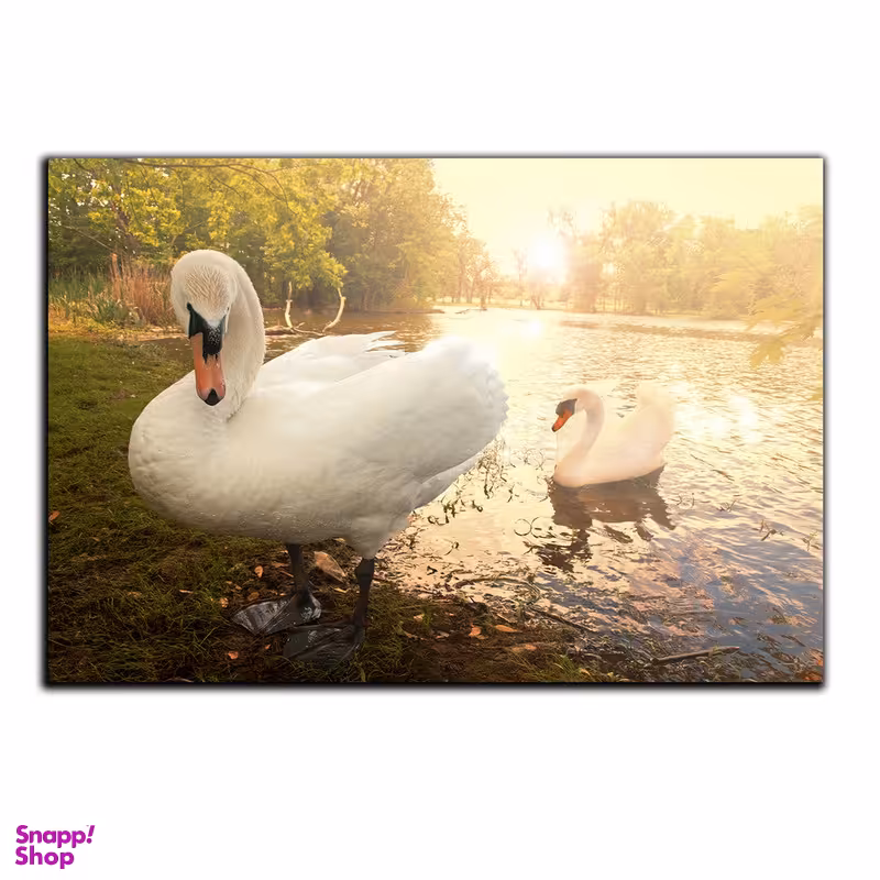 تابلو شاسی بکلیت طرح پرندگان قو مدل SH-S505