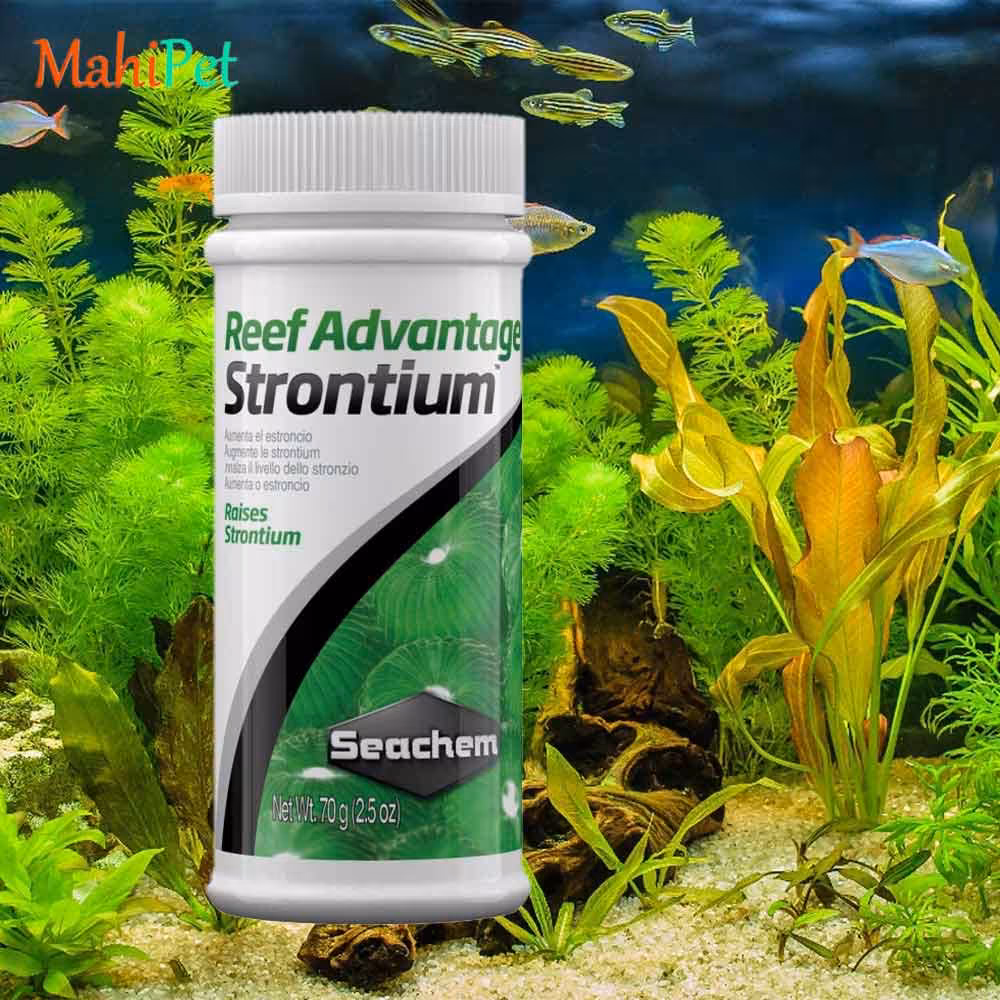 مکمل افزاینده استرانسیم آب شور سیچم SEACHEM Reef Advantage Strontium سایز 70 گرم