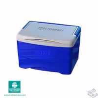 یخدان کیش 11لیتر