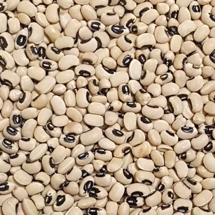 لوبیا چشم بلبلی تمیز و پاک شده یک کیلوگرم