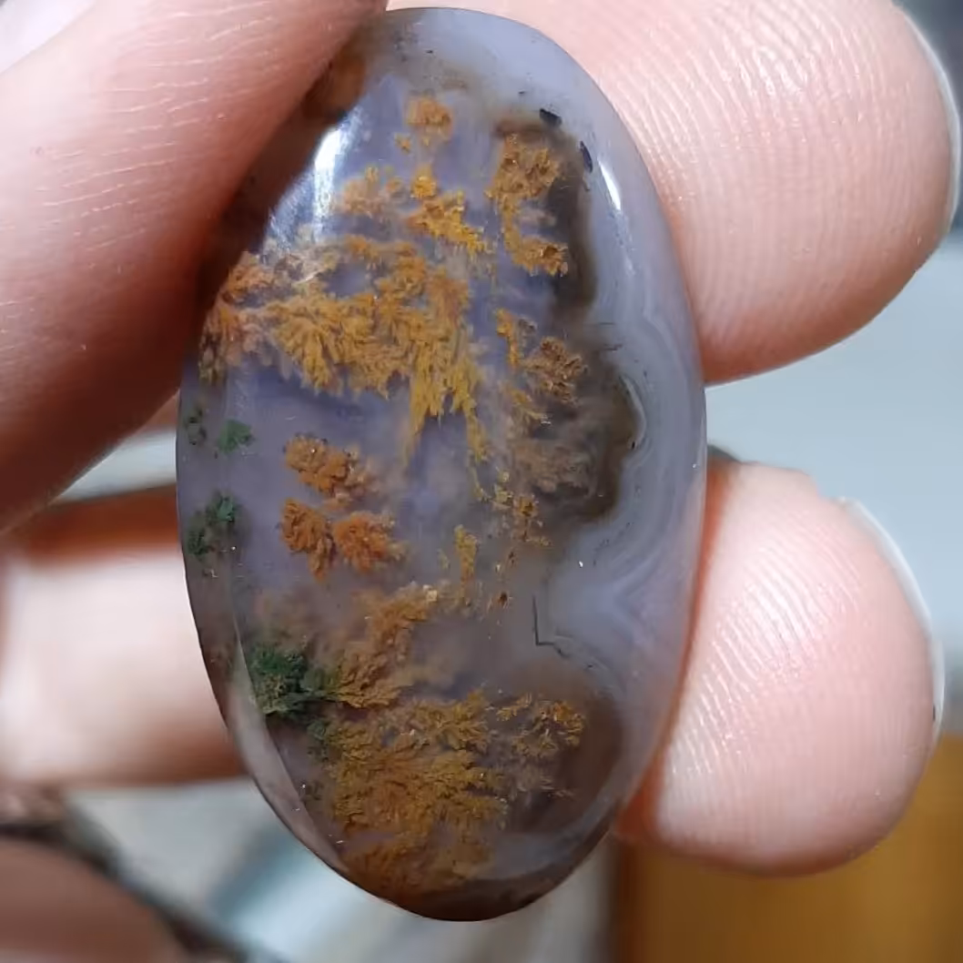 نگین عقیق شجر زیبای پائیزی 