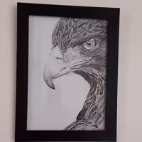 تابلو نقاشی سیاه قلم