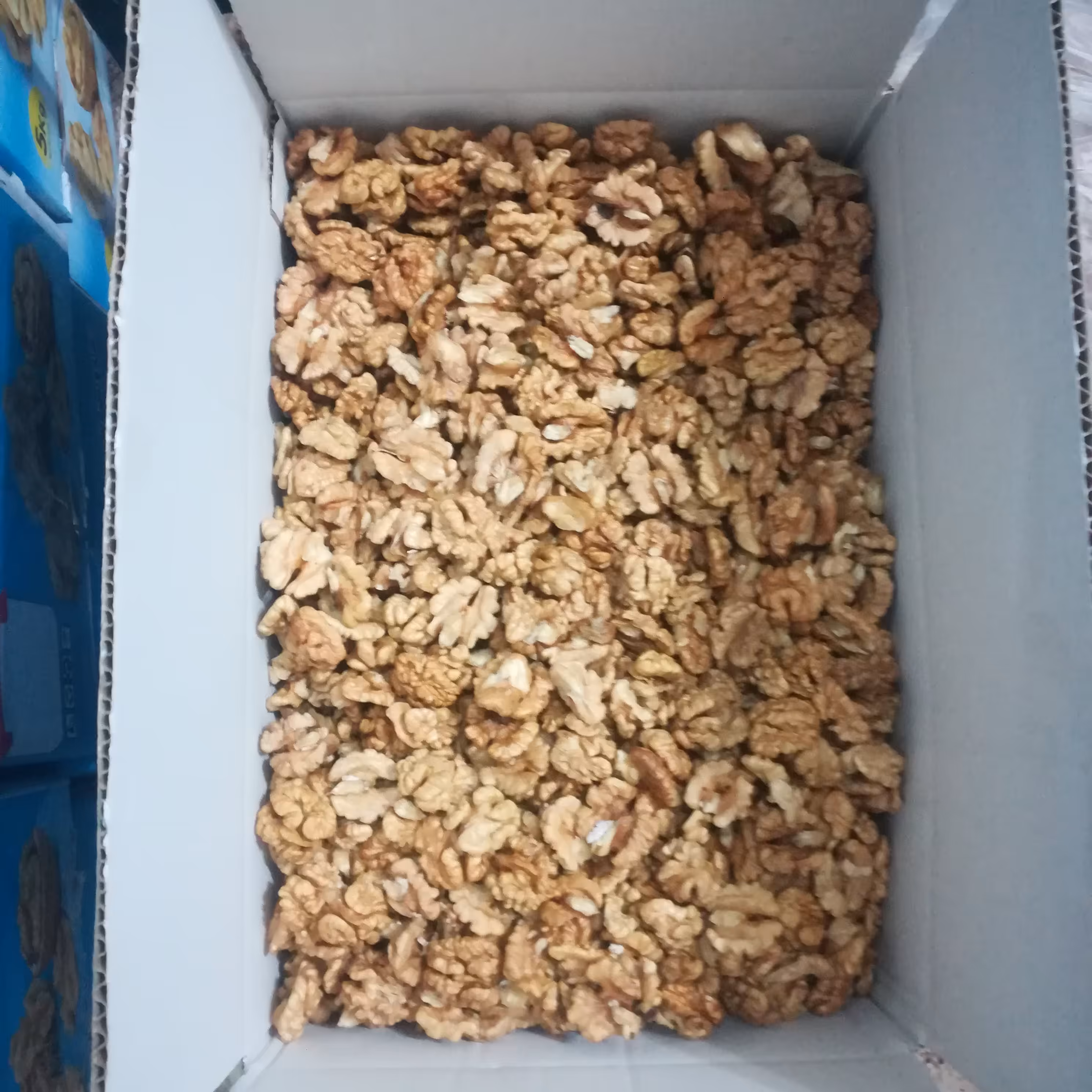 مغز گردوسوپر یک کیلوگرم