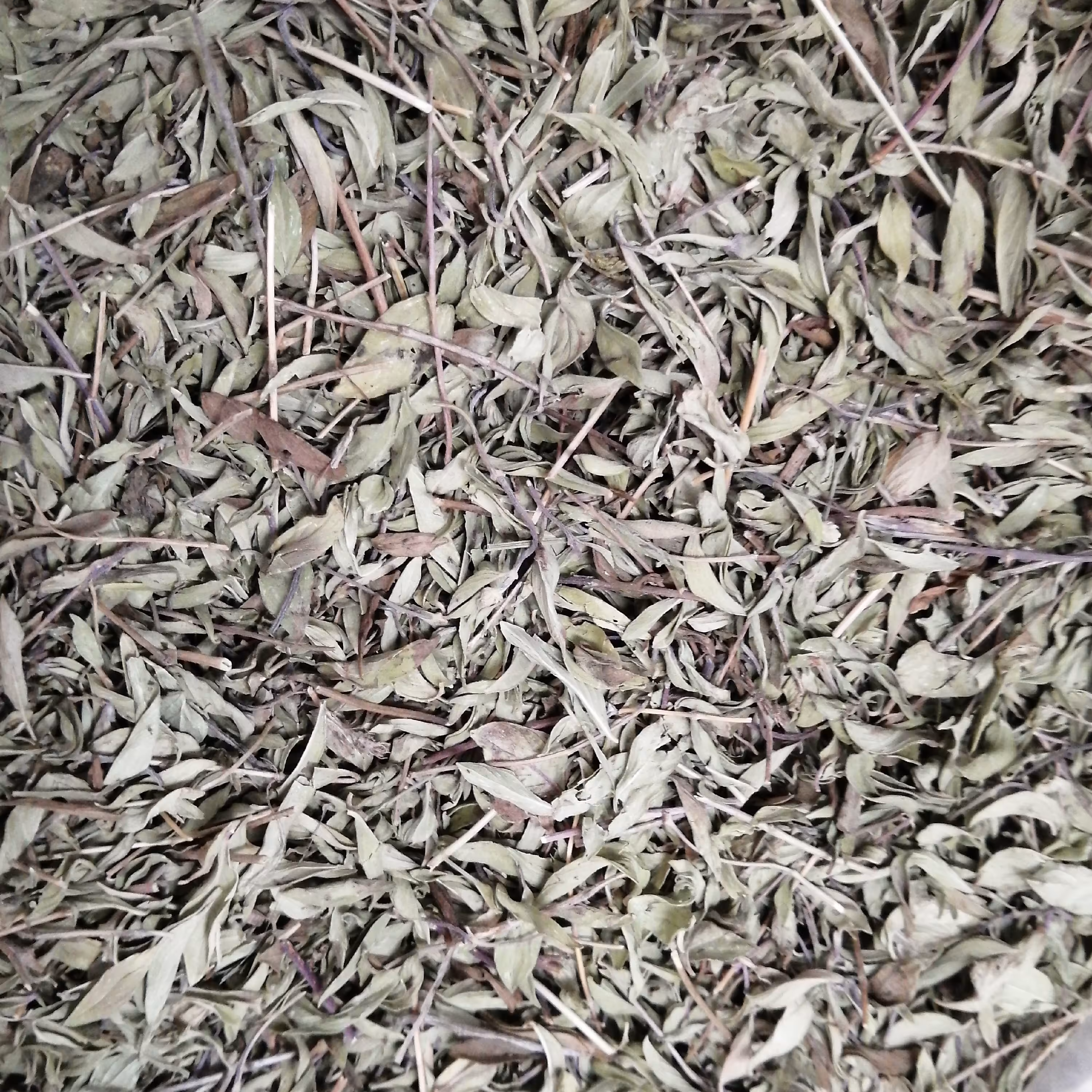 کاکاتوی اعلا درجه یک 75 گرم