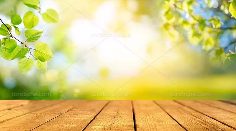 بک دراپ عکاسی محصول با برگ | گرافیک با طعم تربچه