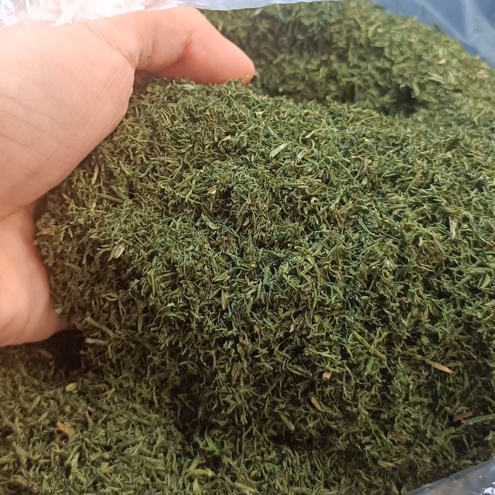 شوید خشک سوپر ممتاز کیلویی  280