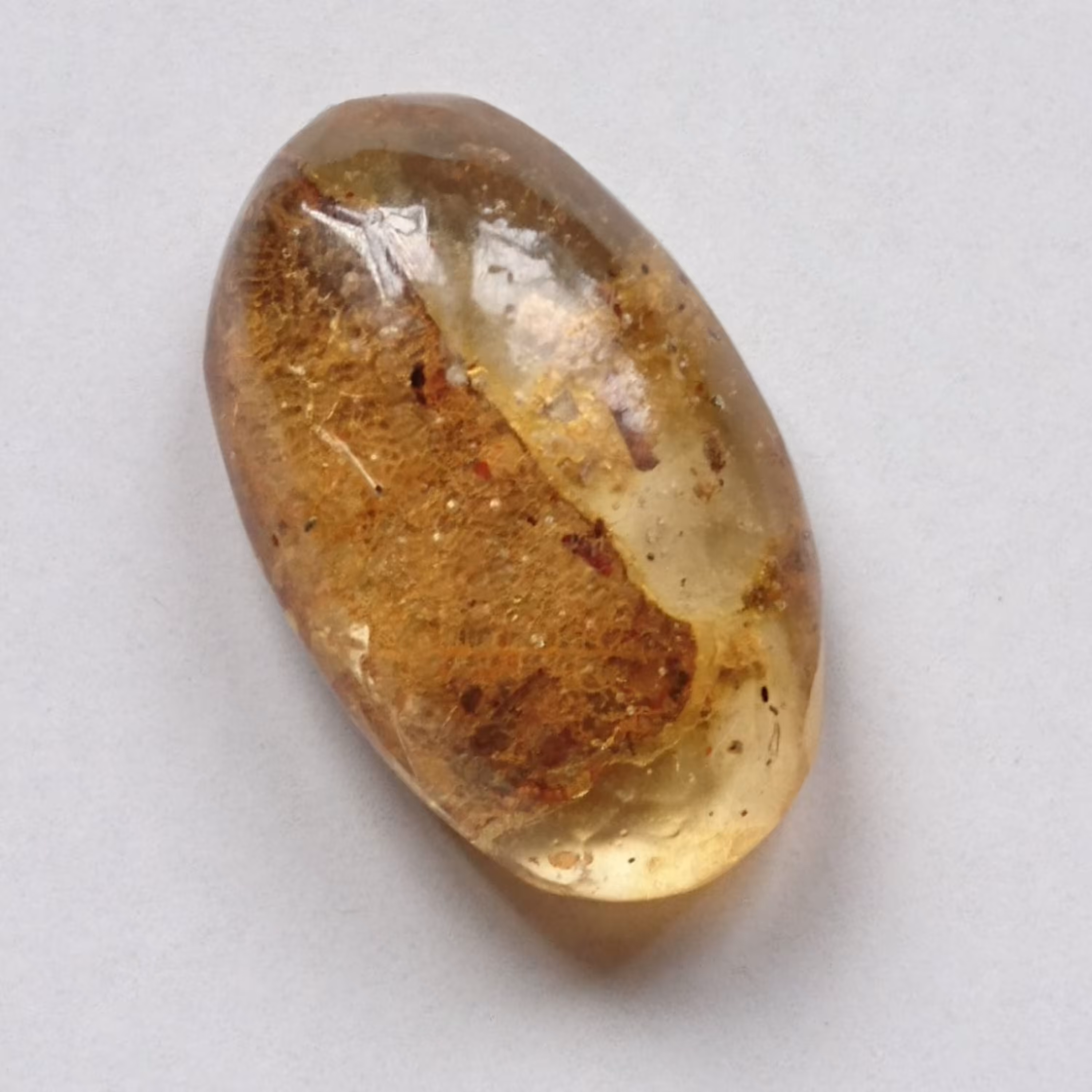 نگین کهربا حشره دار بالتیک طبیعی (7)