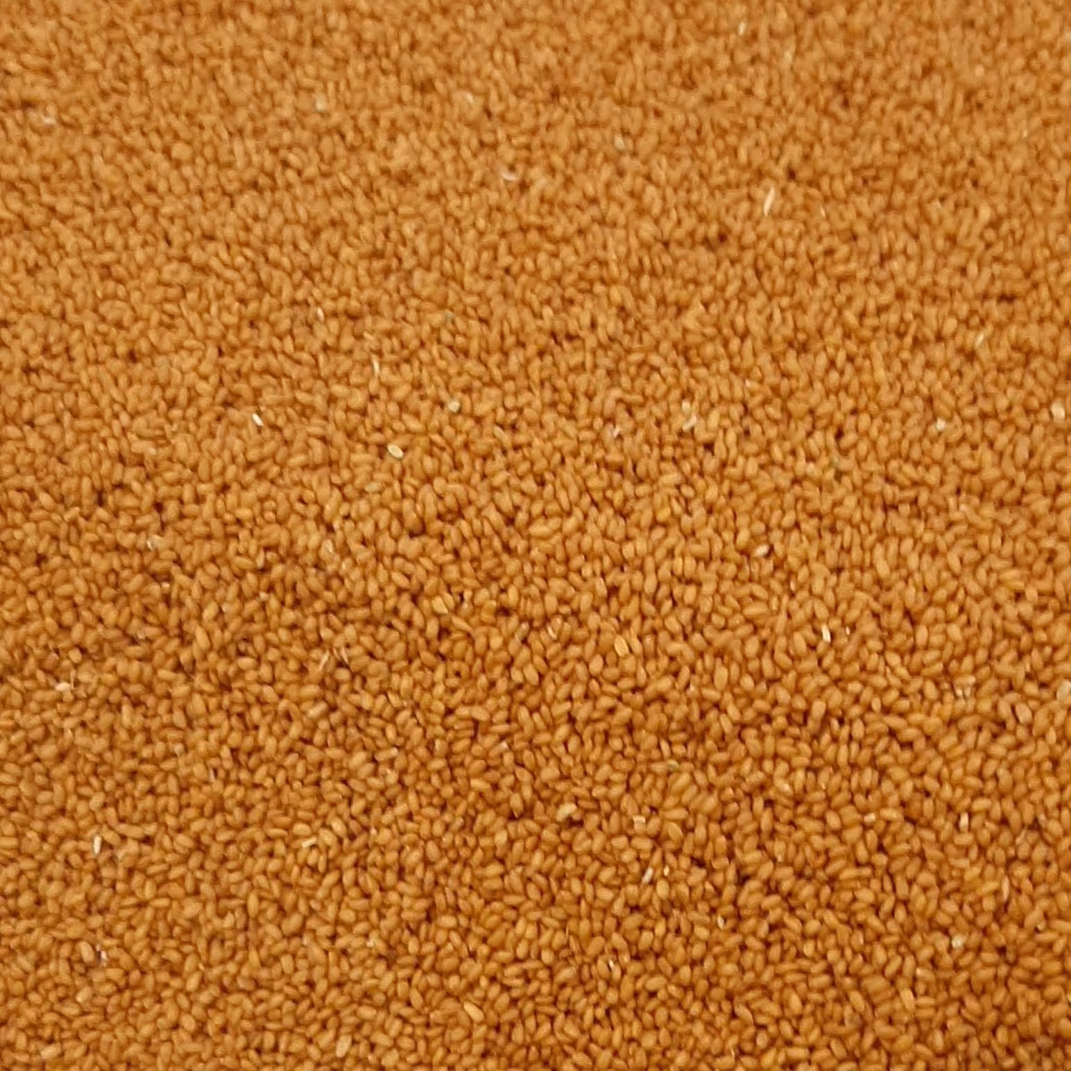 خاکشیر تمیز