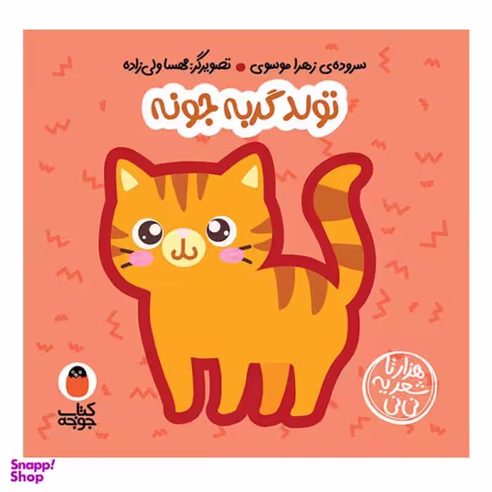 کتاب تولد گربه جونه اثر زهرا موسوی انتشارات کتاب پرنده
