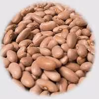 لوبیا کِرم (کپسولی یا کشاورزی)محلی  اعلا (1000گرمی)