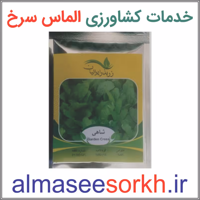 بذر شاهی ممتاز زر بذر ایرانیان | گیاه پزشکی الماس سرخ