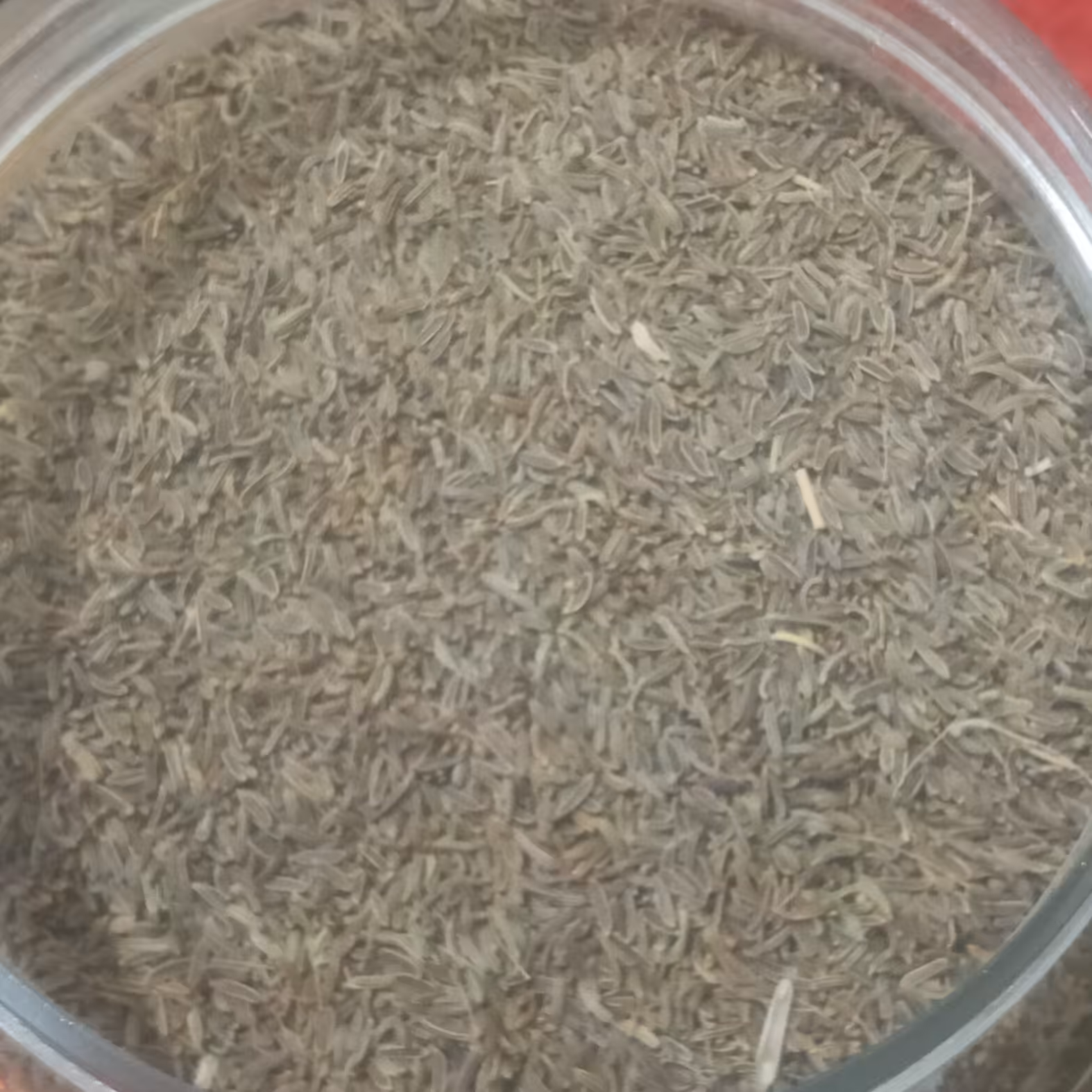 زیره سیاه اعلامحصول کشورافغانستان